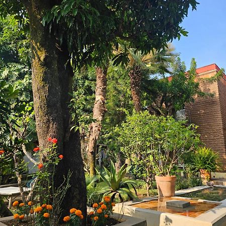 Casa Limon Malinalco Hotel Luaran gambar