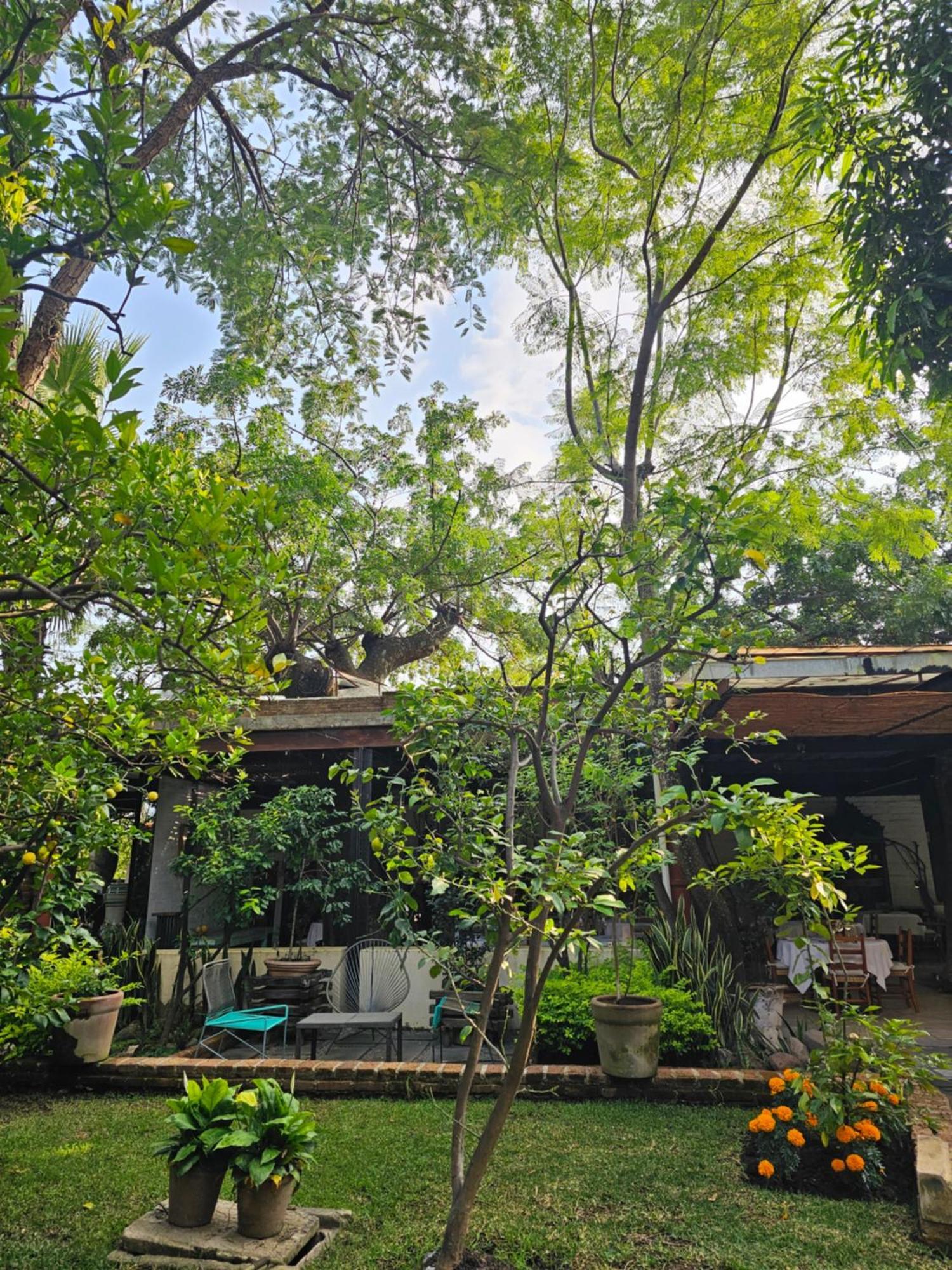 Casa Limon Malinalco Hotel Luaran gambar