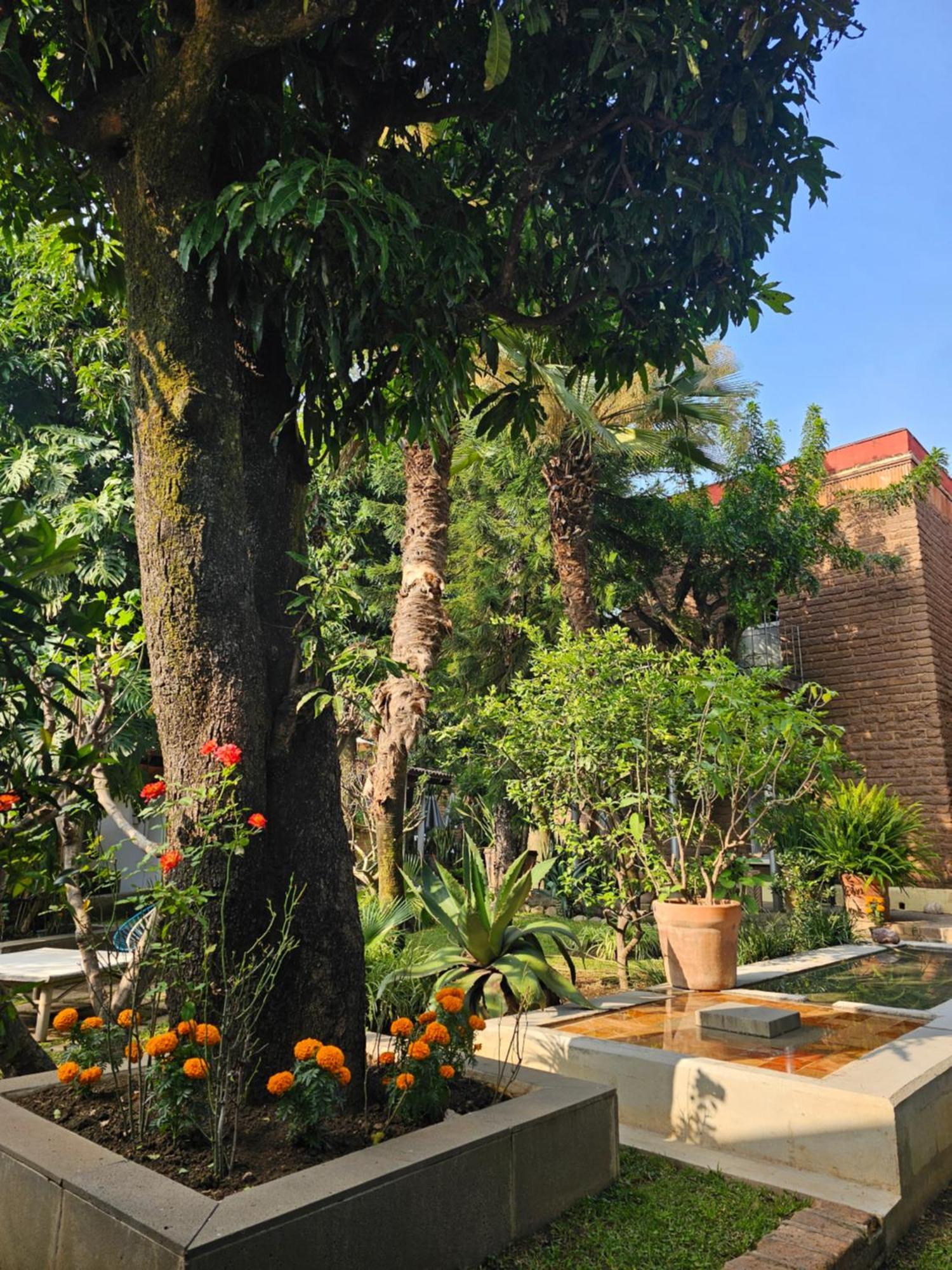 Casa Limon Malinalco Hotel Luaran gambar